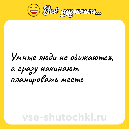 Шутка: Умные люди не обижаются, а сразу начинают планировать месть