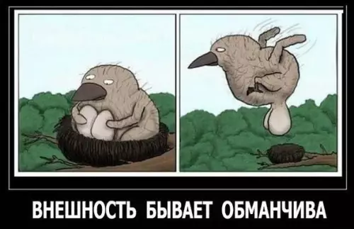 Смешная картинка №176362