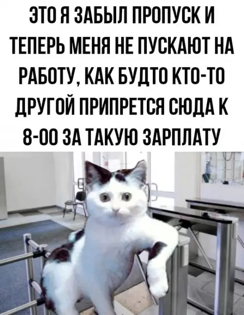 Смешная картинка №768516
