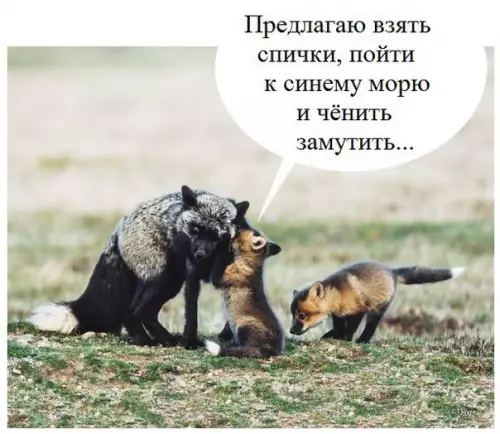 Смешная картинка №174822 По Чуковскому лиса
