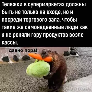 Смешная картинка №662636 Boт дa
