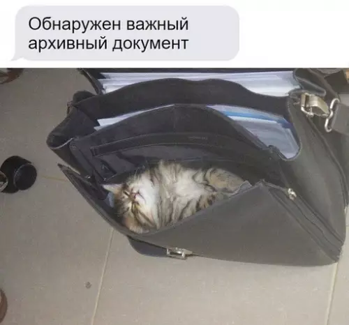 Смешная картинка №705480