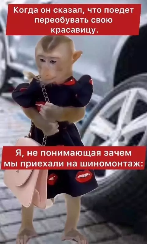 Когда поверила в красивые слова 🐒💔 - Когда он сказал, что поедет переобувать свою красавицу. Я, не