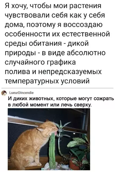 Смешная картинка №524210 Это полностью про мои растения