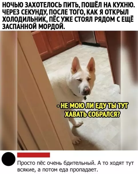 Смешная картинка №491749 Ночной жop.