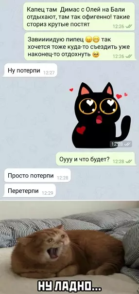 Смешная картинка №548385