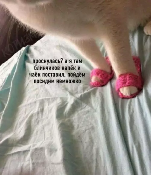 Смешная картинка №576319 Иногда просто хочется, чтобы утром кот пришёл ко мне и сказал: