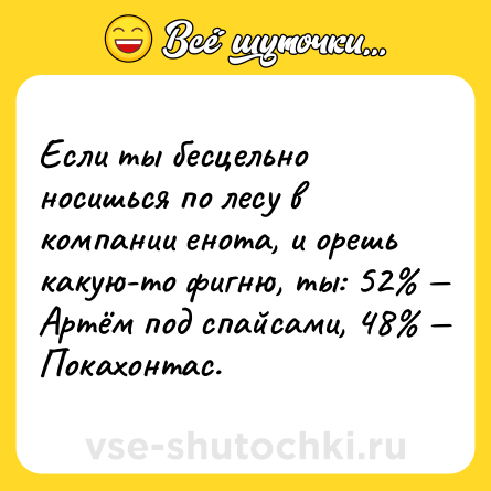 Шутка: Если ты бесцельно носишься по лесу в компании енота, и орешь какую-то фигню, ты: 52% — Артём под спайсами, 48% — Покахонтас.