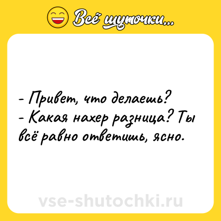 Шутка: - Привет, что делаешь? <br>- Какая нахер разница? Ты всё равно ответишь, ясно.