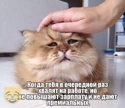 Смешная картинка №384455 #приколы #картинки #мемы ?
