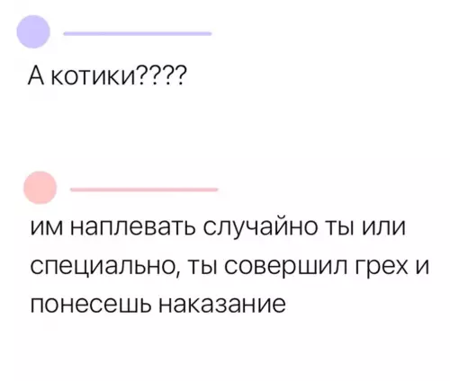 продолжение Собаки видят тебя насквозь! 🐶😭 - сегодня я узнала, что собаки понимают, когда их задевают ногой