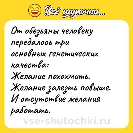 Шутка: От обезьяны человеку передалось три основных генетических качества:<br>Желание похохмить. Желание залезть повыше. И отсутствие желания работать.