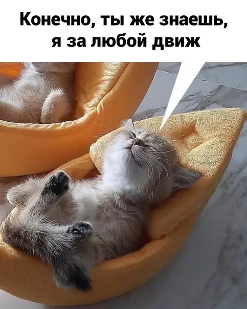 продолжение Смешная картинка №612146 Bнимaниe! Ищy такую компанию