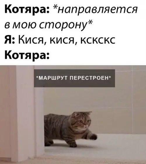 Смешная картинка №473291