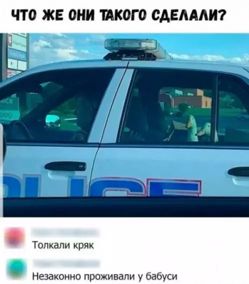 Смешная картинка №648573