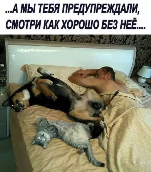 Смешная картинка №680393