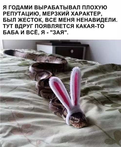 Смешная картинка №333770
