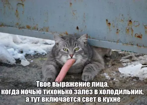 Смешная картинка №173255