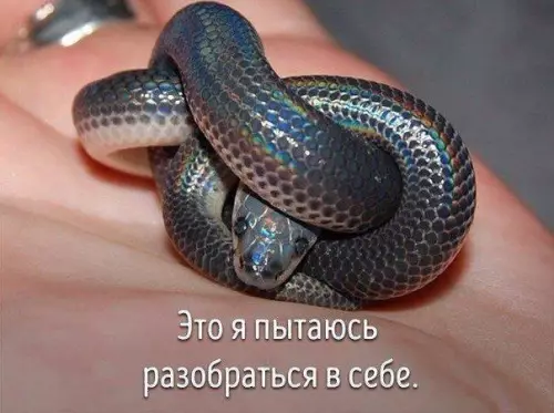 Смешная картинка №211079 Животные совсем как люди.