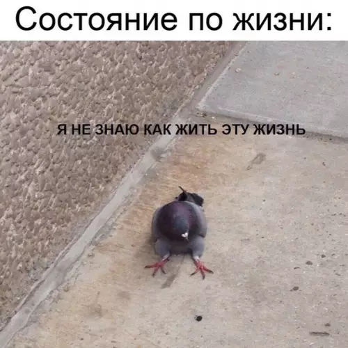 Смешная картинка №257889