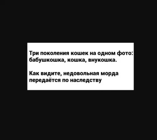 Смешная картинка №609888 Реально так и есть)