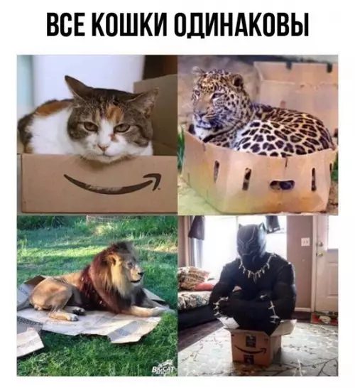 Смешная картинка №257190
