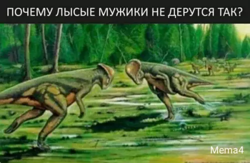 Смешная картинка №655225