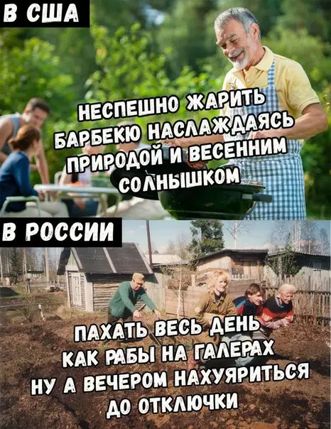 Смешная картинка №273156