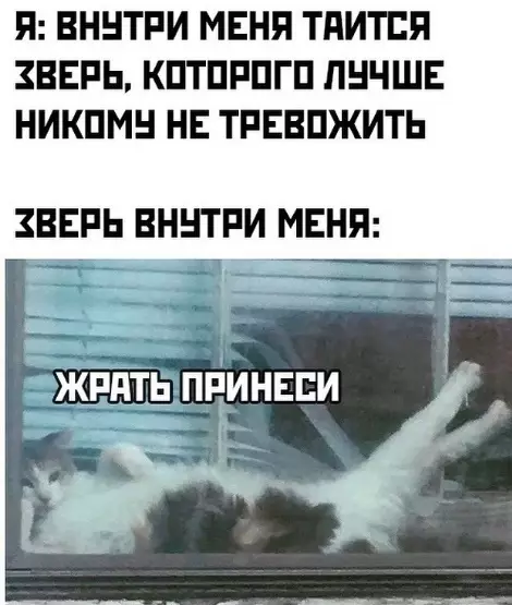 Смешная картинка №446435 Зверь который всегда голоден
