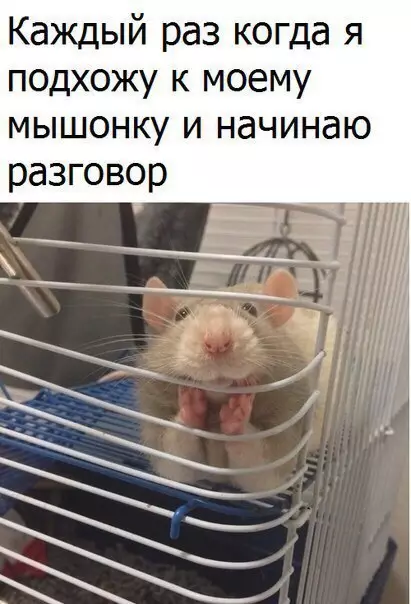Смешная картинка №265336