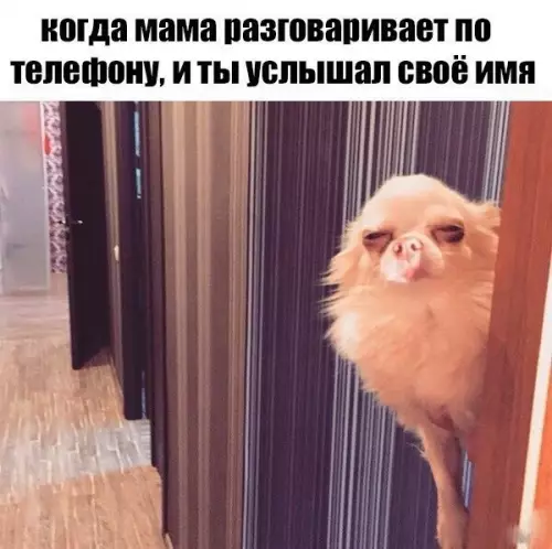 Смешная картинка №228445