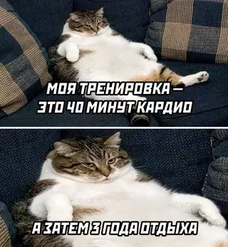 Смешная картинка №643991 спорт