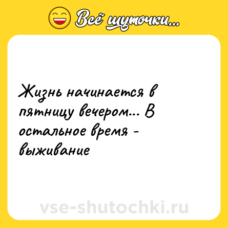 Шутка: Жизнь начинается в пятницу вечером... В остальное время - выживание