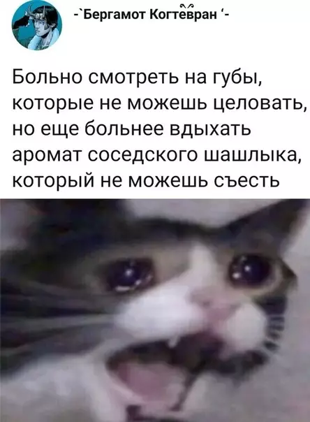 Смешная картинка №350725