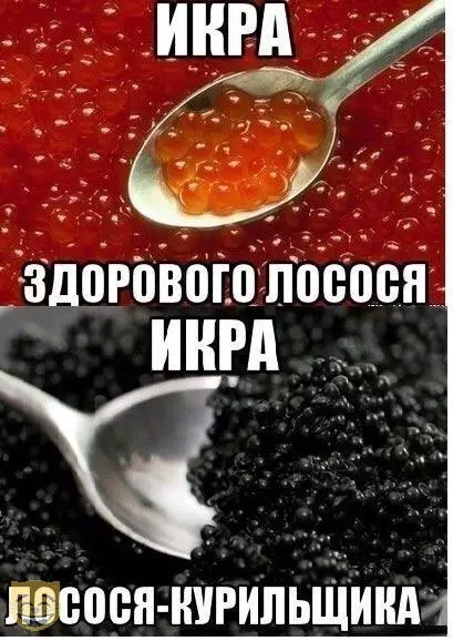 Смешная картинка №325709