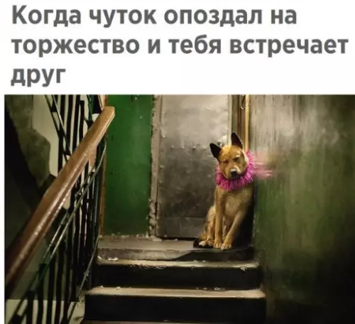 Смешная картинка №228164
