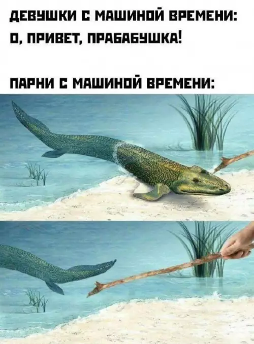 Смешная картинка №720444