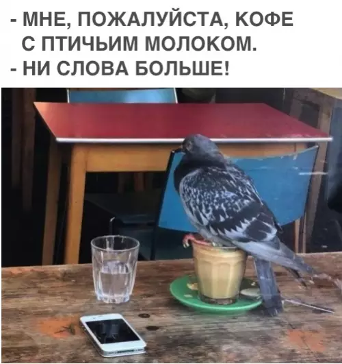 Смешная картинка №304585