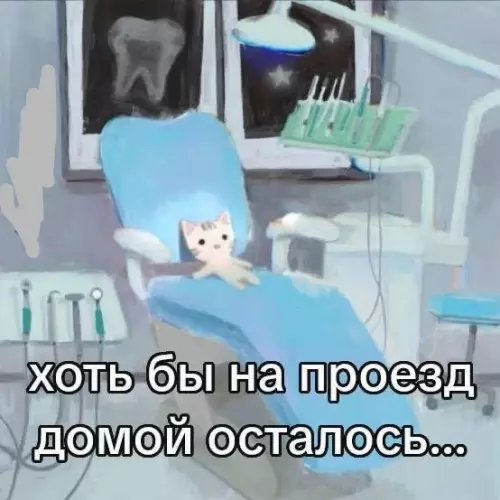 Кот в глубокой депрессии 😿 - хоть бы на проезд домой осталось...