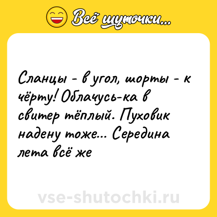 Шутка: Сланцы - в угол, шорты - к чёрту! Облачусь-ка в свитер тёплый. Пуховик надену тоже… Середина лета всё же