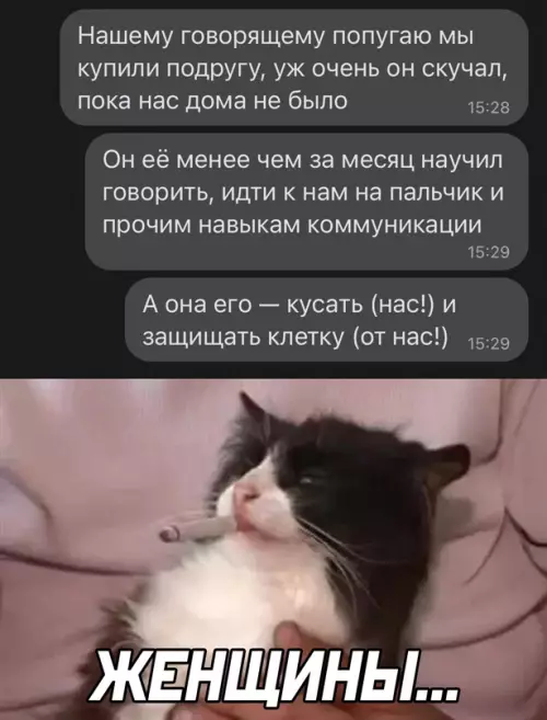 Смешная картинка №640233