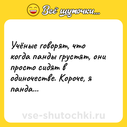 Шутка: Учёные говорят, что когда панды грустят, они просто сидят в одиночестве. Короче, я панда...