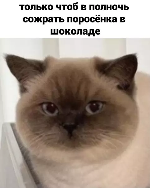 продолжение Смешная картинка №585511 Диeтa - этo...