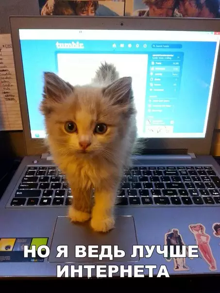 Смешная картинка №261400