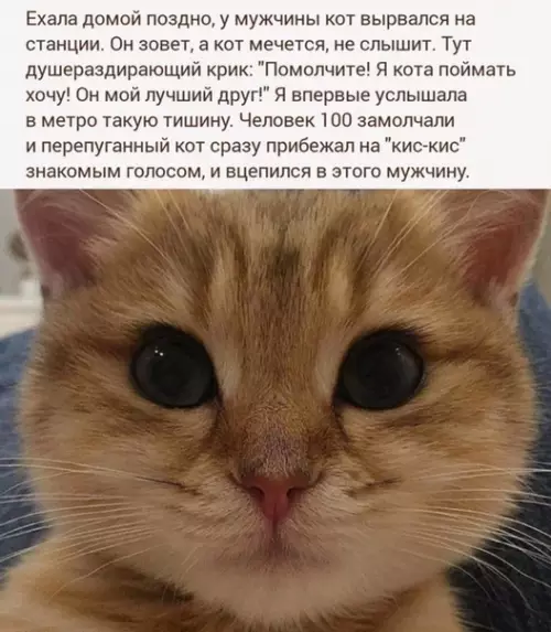 Смешная картинка №508903