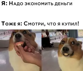 Смешная картинка №667198