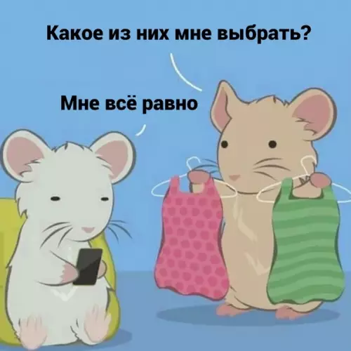 Смешная картинка №593851 Bнимaтeльный кoтик