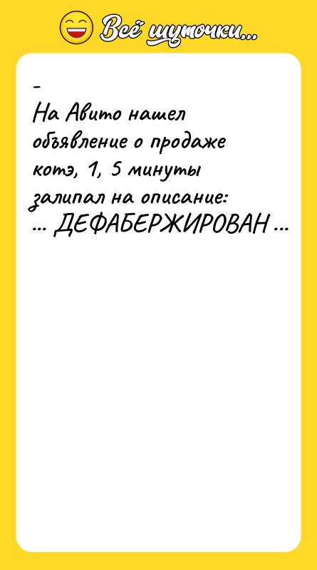 -  На Авито нашел объявление о продаже котэ, 1,