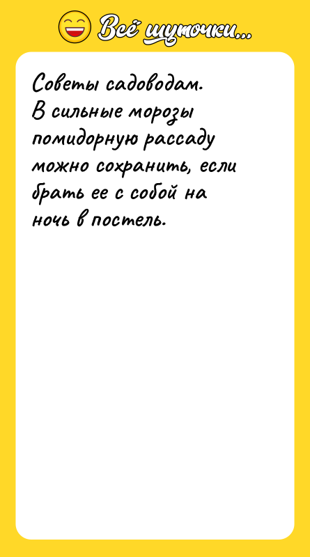 Советы садоводам. В сильные морозы помидорную рассаду можно сохранить, если