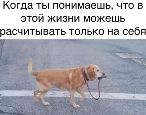 Смешная картинка №517501